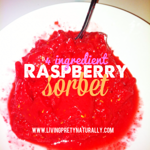 Easy Vegan Organic Raspberry Sorbet Recipe