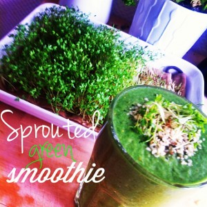 Sprouted Greens Smoothie Recipe