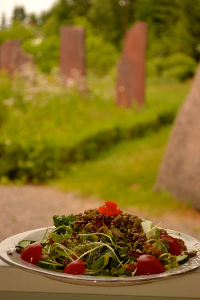 The perfect detox salad with saurkraut dressing and dehydrated seeds